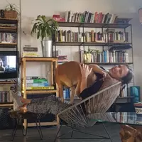 Looking for a roommate in Jersey City / Hoboken, Queens, Brooklyn, Manhattan - New York