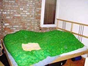 2 bedrooms apartment for rent in West Village - Manhattan, New York