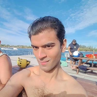 Looking for a roommate in Boston - Boston