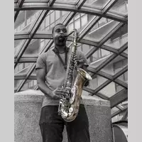 Looking for a roommate in Fair Fax / Va Commonwealth, Washington Southwest, Washington Southeast, Washington Northwest, Washington Northeast - Washington DC