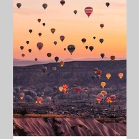 Looking for a roommate