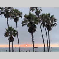 Looking for a roommate in North Dfw, Sw Dallas, Nw Dallas - Dallas