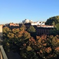 Room for rent in Clinton Hill #7