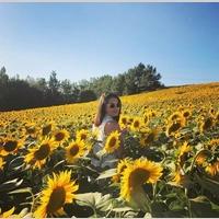 Looking for a roommate in North Atl - Atlanta