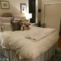 Room for rent in West Village #4