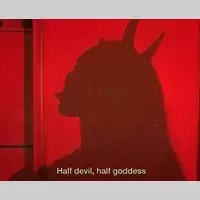 Looking for a roommate in Manhattan - New York