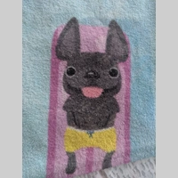 Looking for a roommate in San Gabriel Valley, Southeast - Los Angeles