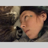 Looking for a roommate in Central Los Angeles, Westside / South Bay - Los Angeles