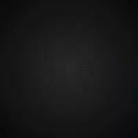 Looking for a roommate