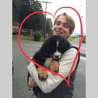 Looking for a roommate in Brooklyn, Manhattan - New York