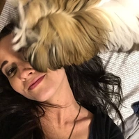 Looking for a roommate in Brooklyn, Manhattan - New York