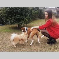 Looking for a roommate in Central Los Angeles, Westside / South Bay - Los Angeles