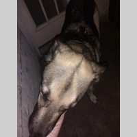 Looking for a roommate in Maryland, Washington Northwest - Washington DC