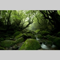 Looking for a roommate in Brooklyn, Manhattan - New York