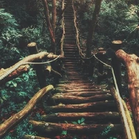 Looking for a roommate in Inner Loop - Houston