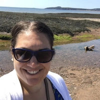 Looking for a roommate in Queens, Brooklyn, Manhattan - New York