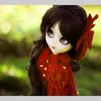 Looking for a roommate in Miami Dade - Miami