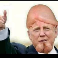 Looking for a roommate in Jersey City / Hoboken, Manhattan - New York