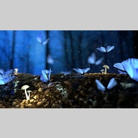 Looking for a roommate in Manhattan - New York