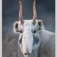 Looking for a roommate in Jersey City / Hoboken, The Bronx, Staten Island, Queens, Brooklyn, Manhattan - New York