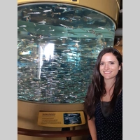 Looking for a roommate in East Bay, San Francisco - San Francisco