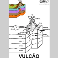 Looking for a roommate in Miami - Miami