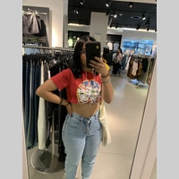 Looking for a roommate in The Bronx, Queens, Brooklyn, Manhattan - New York