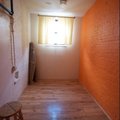 Room for rent in Bushwick #2