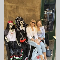 Looking for a roommate in Arlington, North Dfw, Forth Worth, Se Dallas, Sw Dallas, Nw Dallas, Ne Dallas - Dallas