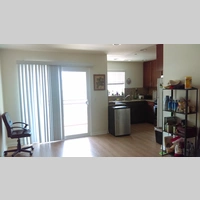 Looking for a roommate