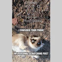 Looking for a roommate in South Side, Central - Chicago