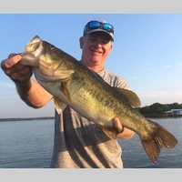 Looking for a roommate in Arlington, North Dfw, Forth Worth - Dallas