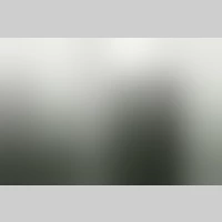 Looking for a roommate in Boston - Boston