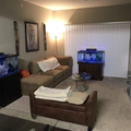 Room for rent in Lewisville #2