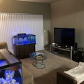Room for rent in Lewisville #3