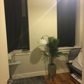 Room for rent in Williamsburg #1