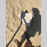 Looking for a roommate in Brooklyn - New York