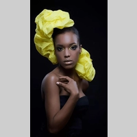 Looking for a roommate