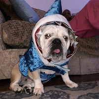 Looking for a roommate in West Atl, North Atl, East Atl, Central Atl - Atlanta