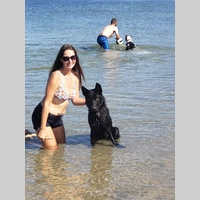 Looking for a roommate in South SD, Inland, Coastal, Central SD - San Diego