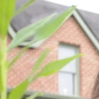 Looking for a roommate in Brooklyn, Manhattan - New York