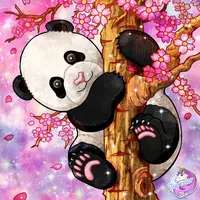 Looking for a roommate in Se Dallas, Sw Dallas, Nw Dallas, Ne Dallas - Dallas