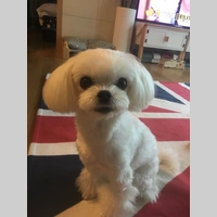 Looking for a roommate in Manhattan - New York