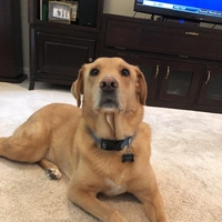 Looking for a roommate in Manhattan - New York