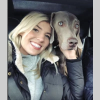 Screen shot 2019 03 28 at 4.08.18 am