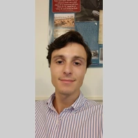 Looking for a roommate in West Austin, East Austin, North Central Austin, South Central Austin, Central Austin - Austin