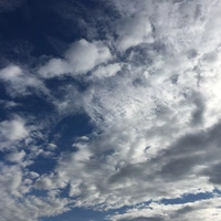 Looking for a roommate in Manhattan - New York