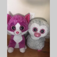 Looking for a roommate in Jersey City / Hoboken, The Bronx, Staten Island, Queens, Brooklyn, Manhattan - New York