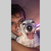 Looking for a roommate in The Verdugos - Los Angeles