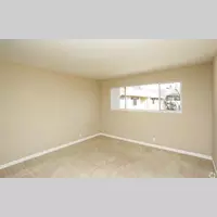 Looking for a roommate